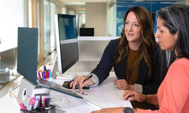 Accounting professionals reviewing financial reports